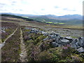 The track leading down from Carn Moine an Tighearn towards Crathie in AB35 5TP