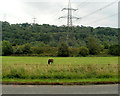 Pylons, Pontneddfechan in SA11 5NR