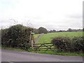 Footpath 1315 from Lordings Lane in RH14 9JT