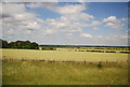 Wheat field by the A11 in CB10 1FE