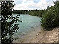View along the edge of the lake, Bawsey Country Park in Bawsey