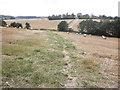 Fields of stubble, near Bullinghope in HR2 8AA