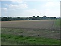 Kennet : Ploughed Field in SN9 6HZ