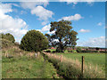Footpath between fields west of Crook in DL15 9PX