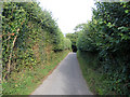 Winfield Lane, Plaxtol, Kent in TN15 8FZ