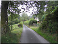 Lane near Afon Eirth in Llangynog Community