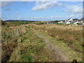 Footpath behind the houses at Coalburn in ML11 0LS