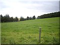 A grass field by access lane to Templand in AB54 4HT