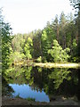 Longhowe Loch, near White Ash Hill Wood in IV32 7PG