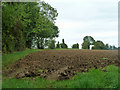 Recently ploughed field in CM3 1HR