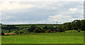 2011 : Pasture with cows from Cockpit Lane in BA4 6BZ
