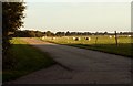 Grazing sheep at Little Manwood Farm in CM17 0RP