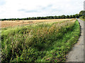 Harvested field west of Brown's Lane, Holme Hale in PE37 8ND