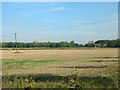 Farmland off the A19 in DN5 0LP