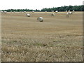 Barley stubble and big bales near Castleton in EH23 4RZ