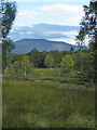 Looking towards Morven in AB34 5LA