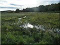 Boggy Ground (east) in AB34 5LE