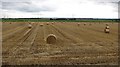 Straw bales, Craigrie in FK10 4JG