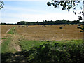 Straw bales on North Court farmland in CT14 0FH