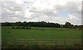 Field by the A11 in NR17 2FY