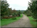 Path through the plantation, Golden  Acre Park in LS16 8BG