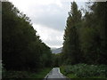 The road to Bassenthwaite, in Park Wood in CA12 4RJ