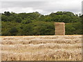 Waiting for the baler, Fifield Bavant in SP5 5HU