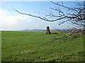 Gilfach-las Trig Pillar in SY23 4HZ