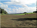 Arable land below Coxland Cottages in RG7 6DX