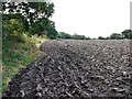 Ploughed field east of Mickley Square in NE42 6RL