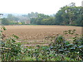Field by Halfway Bridge in GU29 0BA