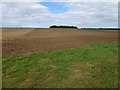 Farmland on Harpley Common, Norfolk in PE32 2JZ
