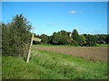 Footpath and church at Shalford in CM7 5HY