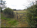 Makeshift gate to a paddock in ST19 9LH