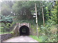 Northern entrance to tunnel under dismantled railway, Bedwas in CF83 8ES