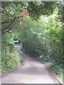 Lane south of Bampton (part of Exe Valley Way) in EX16 9FF