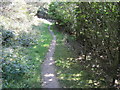 Footpath towards Gillfield Wood in S17 3BD