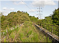 Viaduct on the disused Devon Valley Railway in KY13 0QF