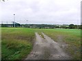 Stocksfield Sportsfields, east side in NE43 7DU