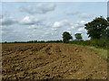 Deeply ploughed field in CM1 4TA