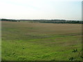 Farmland near Thorpe Audlin in WF8 3HF