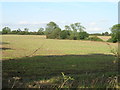Farmland off Leys Lane in DN6 8LR