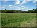 View across pastures at Slathurst Farm in GU30 7ND