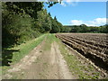Footpath 1276 by potato field at Slathurst Farm in GU30 7ND
