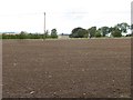 Newly cultivated field, Morris Hall in TD15 2JY