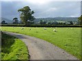 Back lane from Caersws to Trefeglwys in SY17 5PN