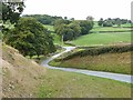 Country lane near Fridd-uchaf in SY17 5RF