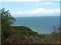 Wooded coast below Headon Warren in PO39 0EP