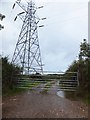 Pylon beside Saundercroft Road in EX5 7EE