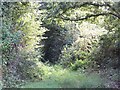 Lane with public access through orchards at Higher Woodhayes Farm in EX5 2SJ